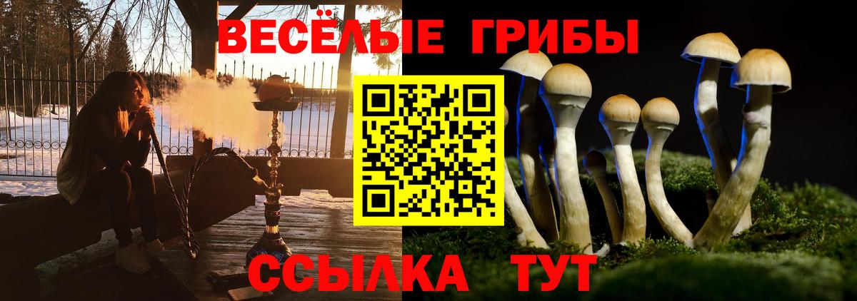 Галлюциногенные грибы MAGIC MUSHROOMS Бердск