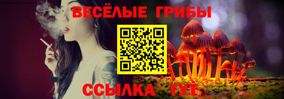 цена наркотик  Вход с VPN  Бердск  Галлюциногенные грибы Magic Shrooms 