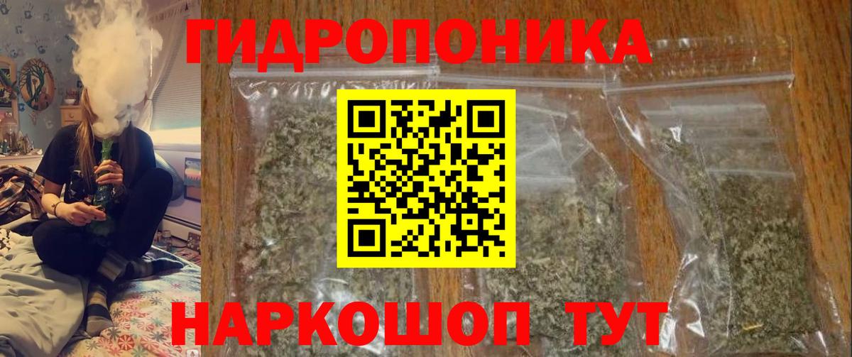 МАРИХУАНА семена Бердск